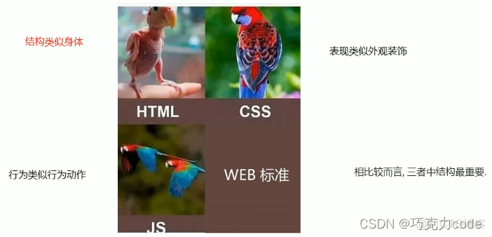 Web前端——软件和网页的概述_服务器_14